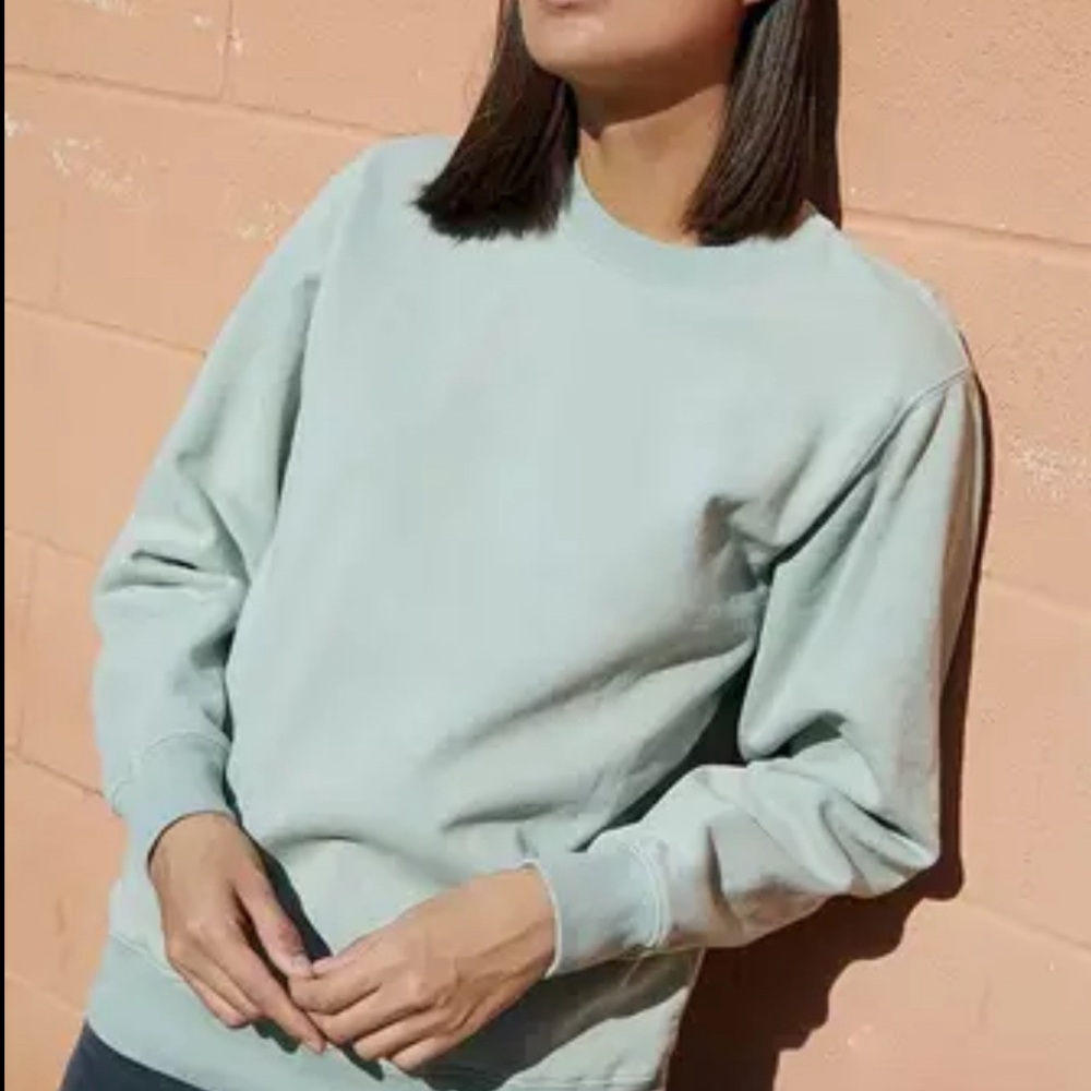 Brandy pale Sage green crewneck